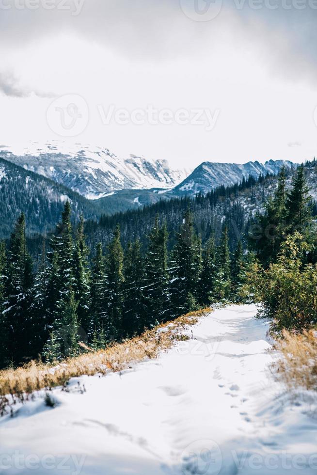 paysage d'hiver dans les montagnes des Carpates photo