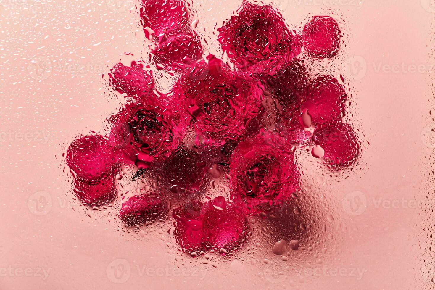 fleurs en dessous de verre avec l'eau gouttes. rouge des roses sur rose Contexte et blobs modèle photo