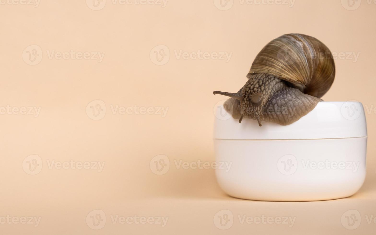 Escargot et crème mucine sur fond beige avec place pour le texte, espace de copie de soins de la peau beauté photo