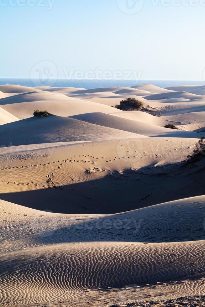 Dunes de Maspalomas, Gran Canaria photo