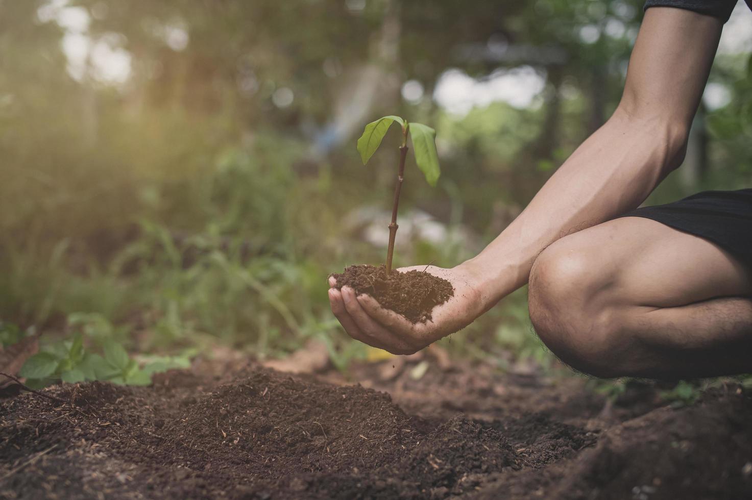 journée mondiale de l'environnement, planter des arbres et aimer l'environnement, aimer la nature. photo