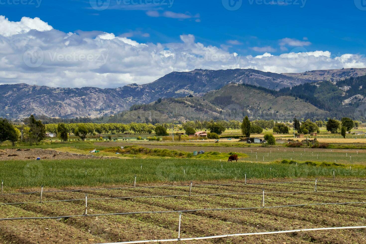 cultivation des champs et montagnes à le boyaca département dans Colombie photo