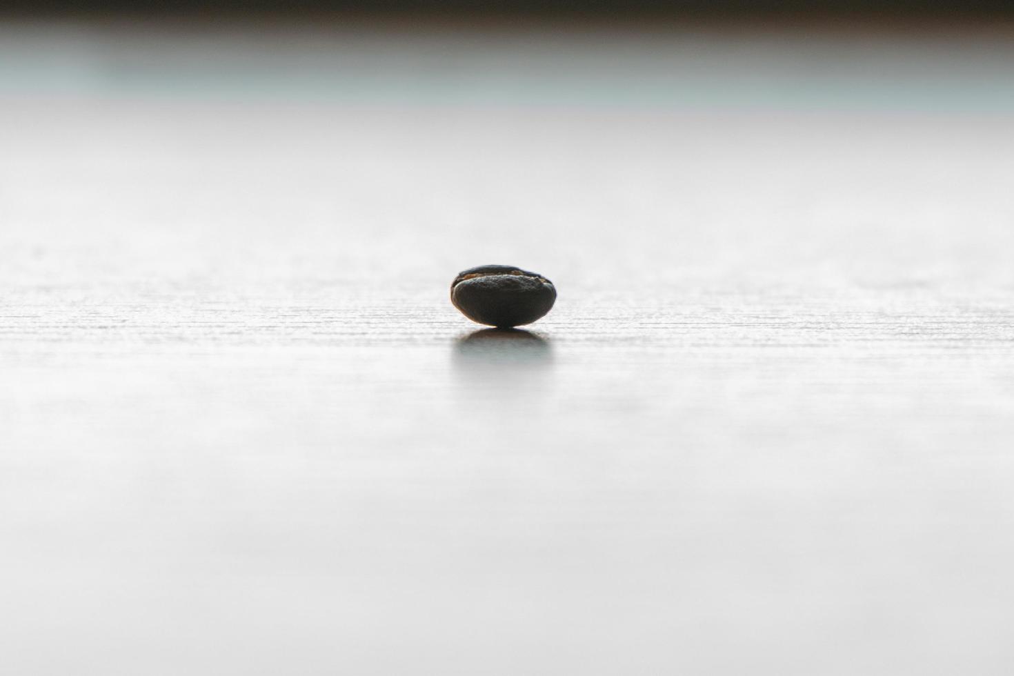 Seul grain de café torréfié isolé sur une surface lumineuse et fond dégradé photo