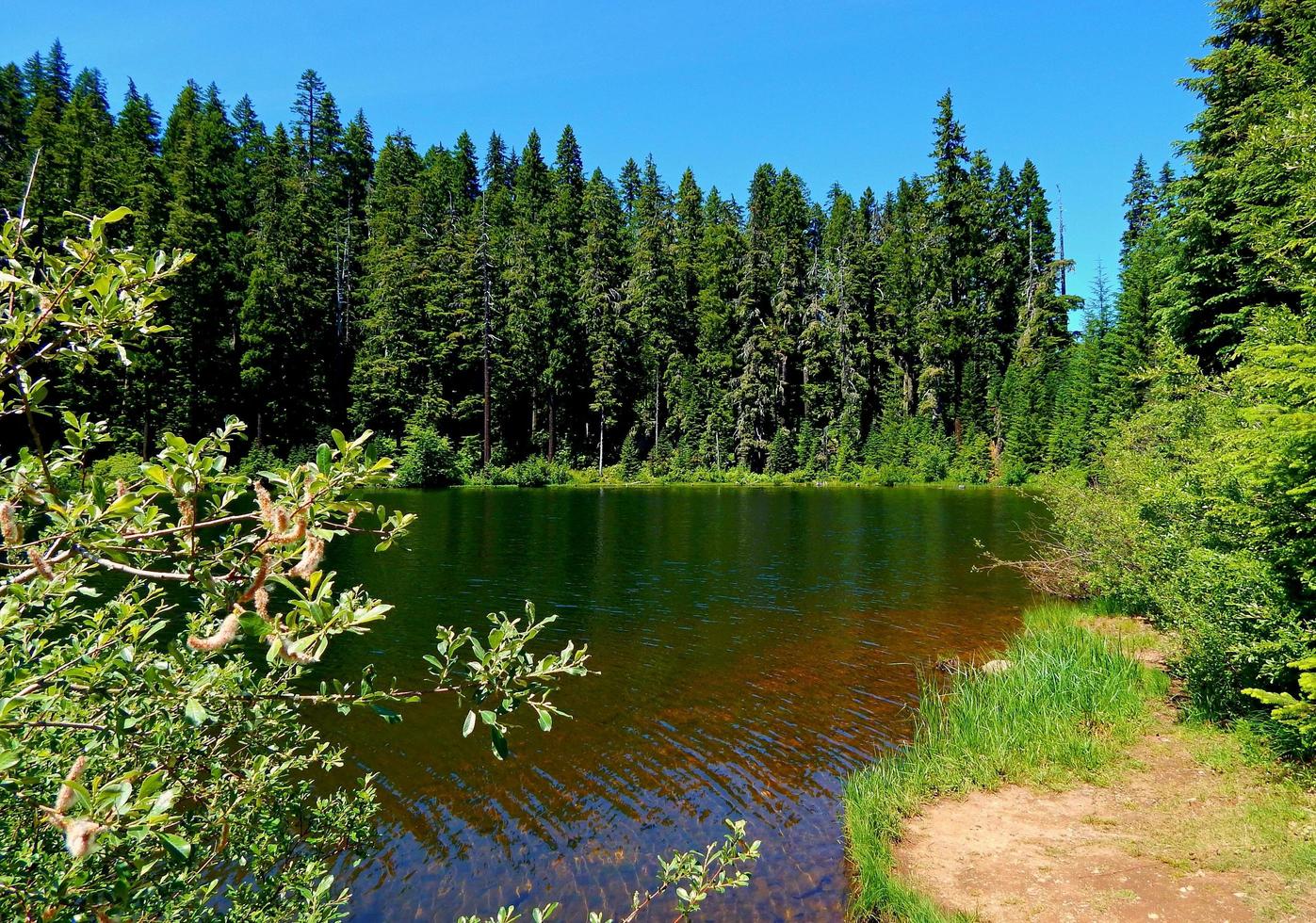 l'été au lac tule - chaîne de cascade - près de marion fourches, ou photo