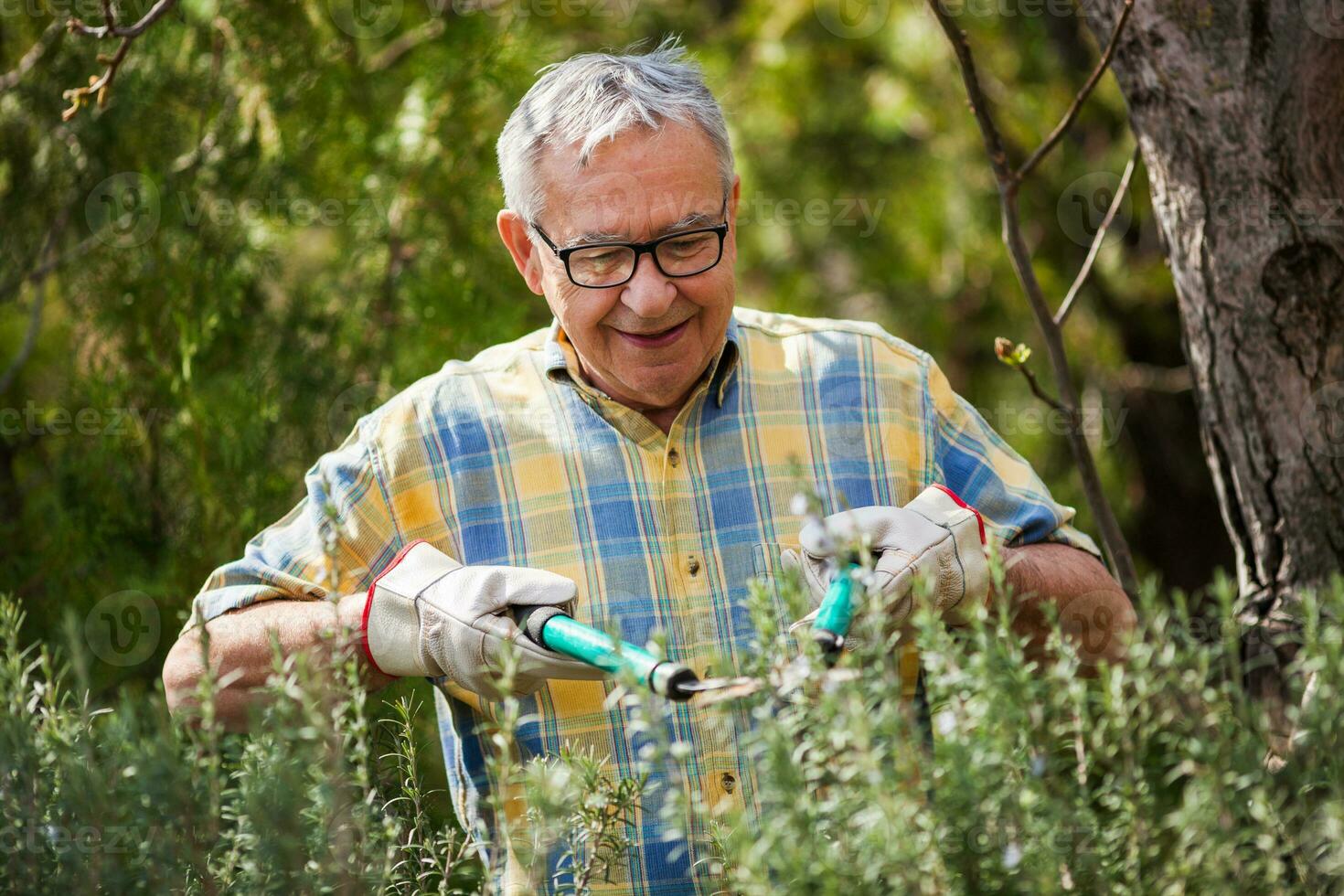 une Sénior homme prise se soucier de le sien jardin photo