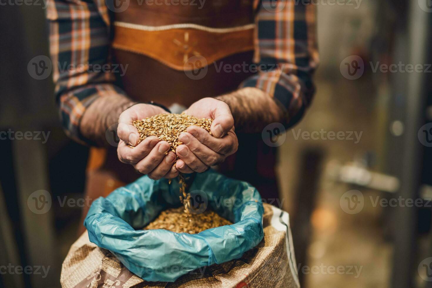 Maître brasseur examiner le orge des graines avant elles ou ils entrer production. photo