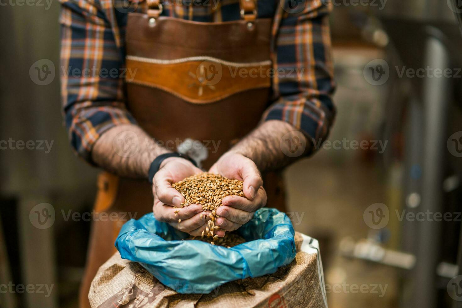 Maître brasseur examiner le orge des graines avant elles ou ils entrer production. photo