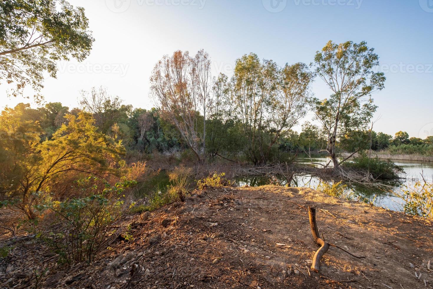 Athalassa lake chypre avec de l'eau et des arbres magnifiquement éclairés sur un bel après-midi ensoleillé photo