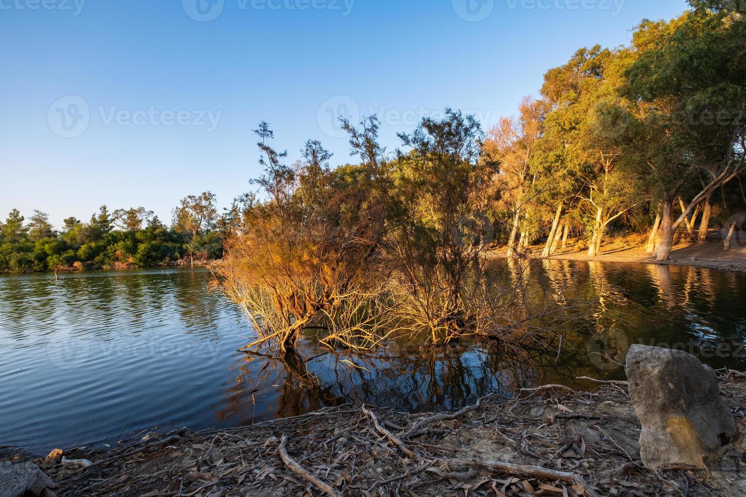 Athalassa lake chypre avec de l'eau et des arbres magnifiquement éclairés sur un bel après-midi ensoleillé photo
