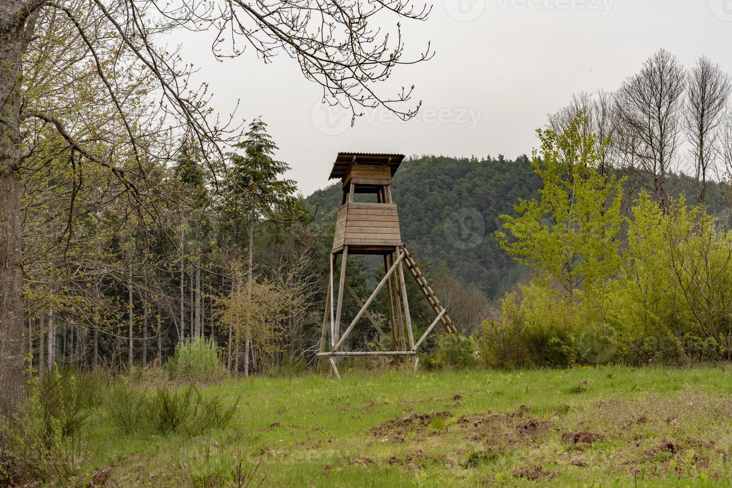 Siège haut de chasseur à la lisière d'une forêt photo