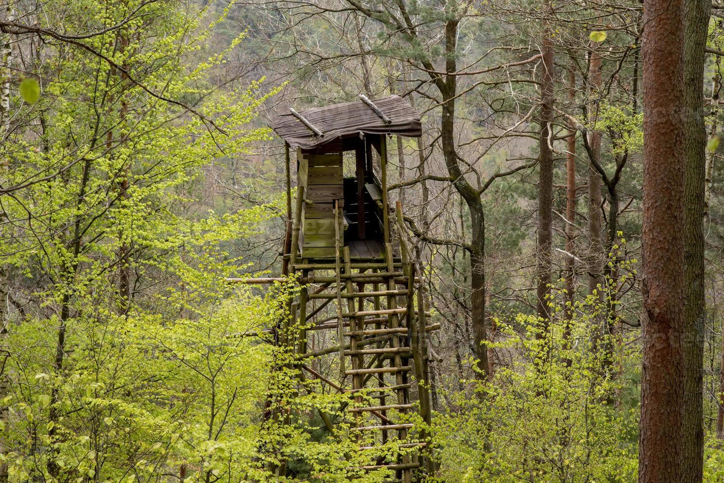 Chasseurs haut siège parmi les arbres photo