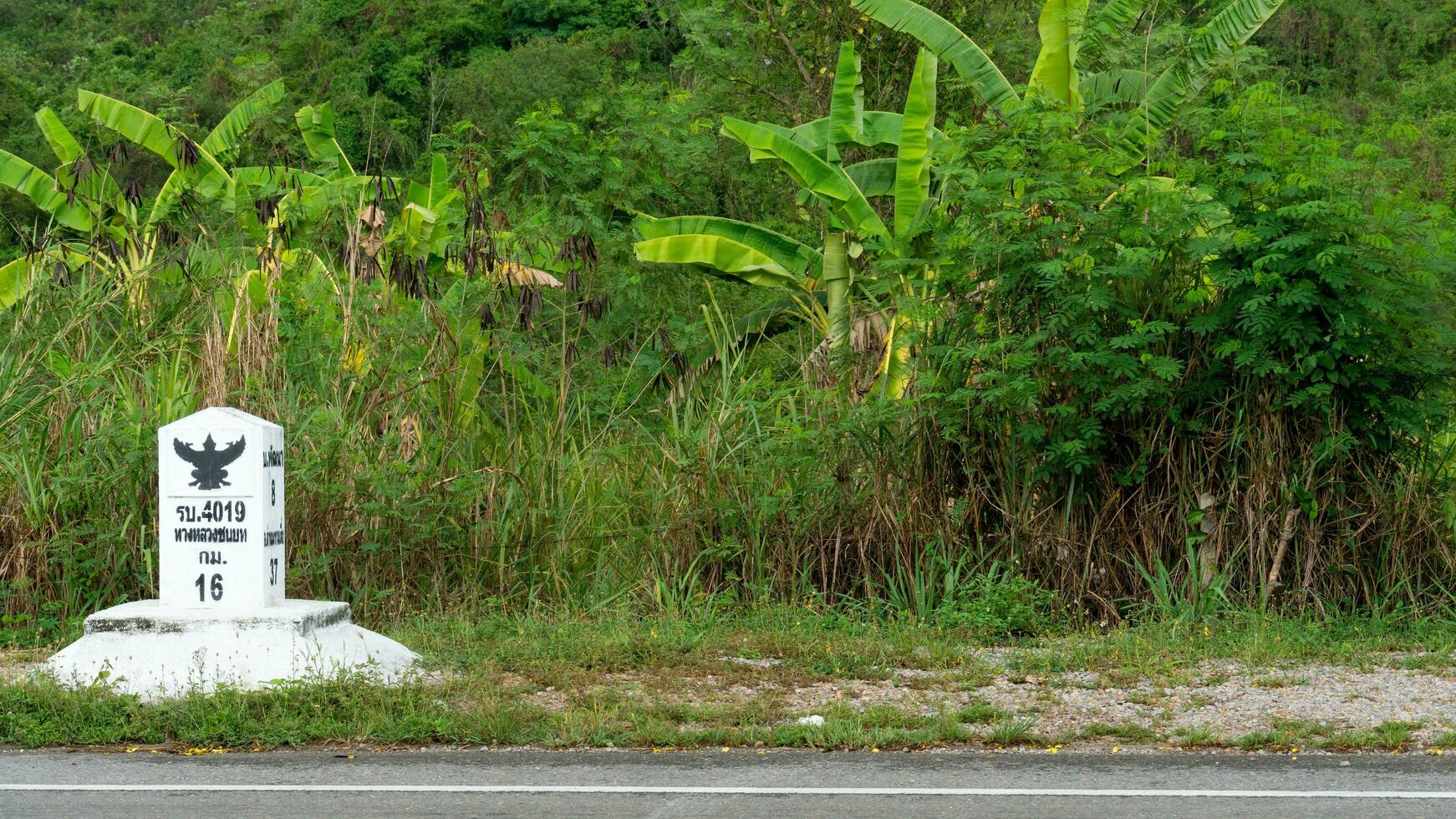 horizontal vue de asphalte route. à côté de avec pilier montrant distance dans kilomètres dans Thaïlande. thaïlandais Langue traduire à rural route. Contexte de magnifique vert herbe et forêt. photo