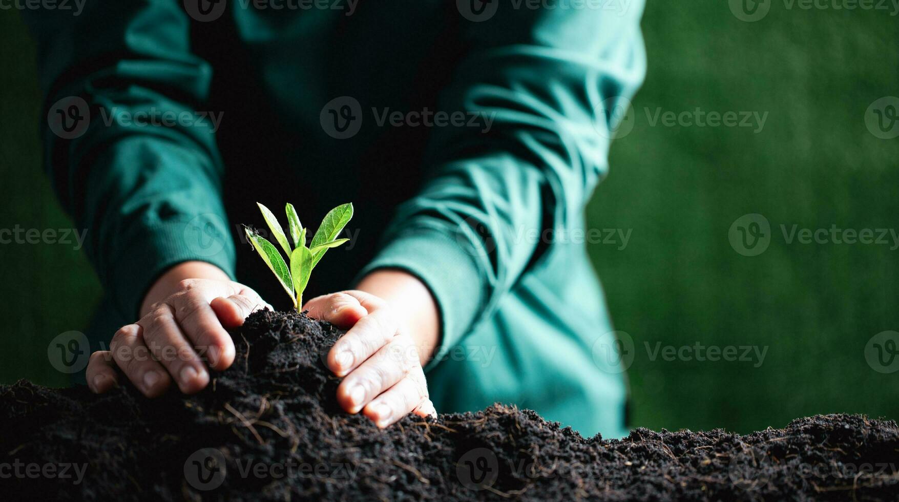 monde environnement journée. mains plantation le semis dans sol. idée de protéger le environnement et réduire global échauffement. symbole de printemps, le début de forêt, écologie concept. Terre journée. photo