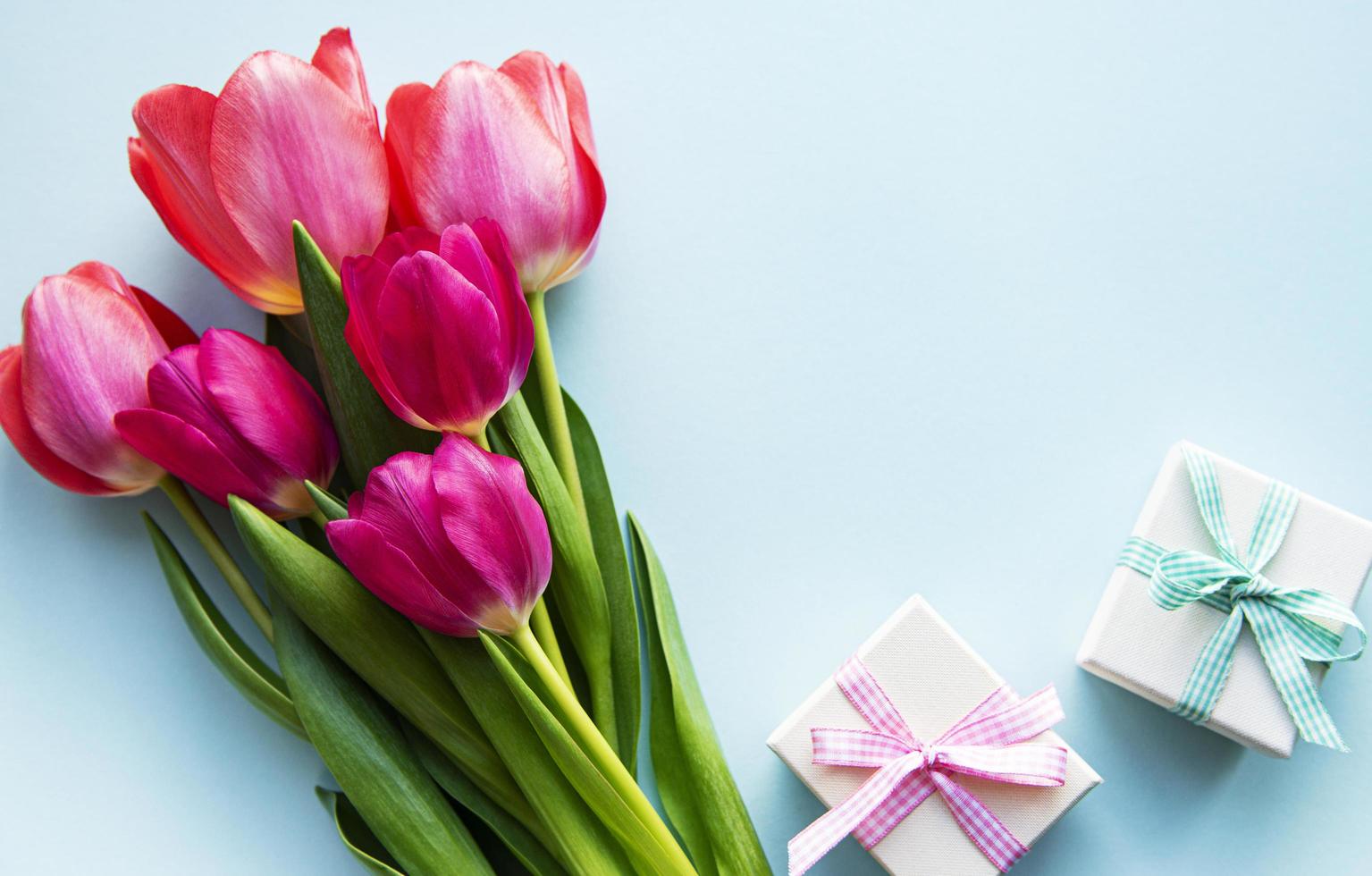 beau bouquet de tulipes photo