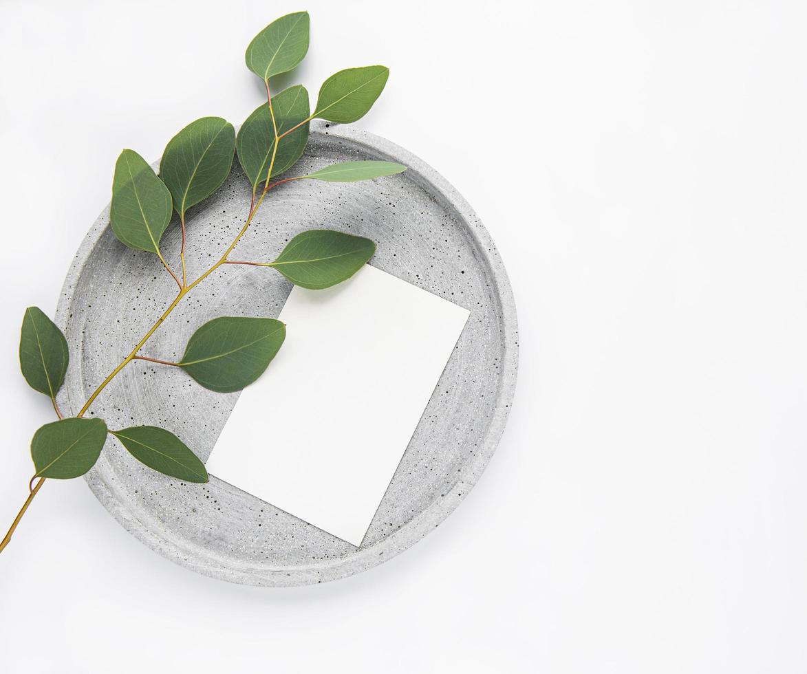 assiette à l'eucalyptus photo