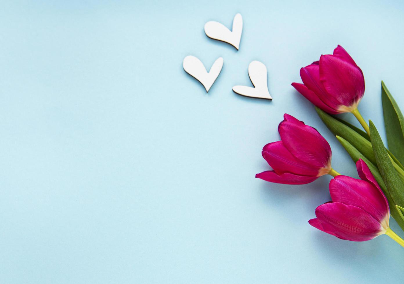 beau bouquet de tulipes photo