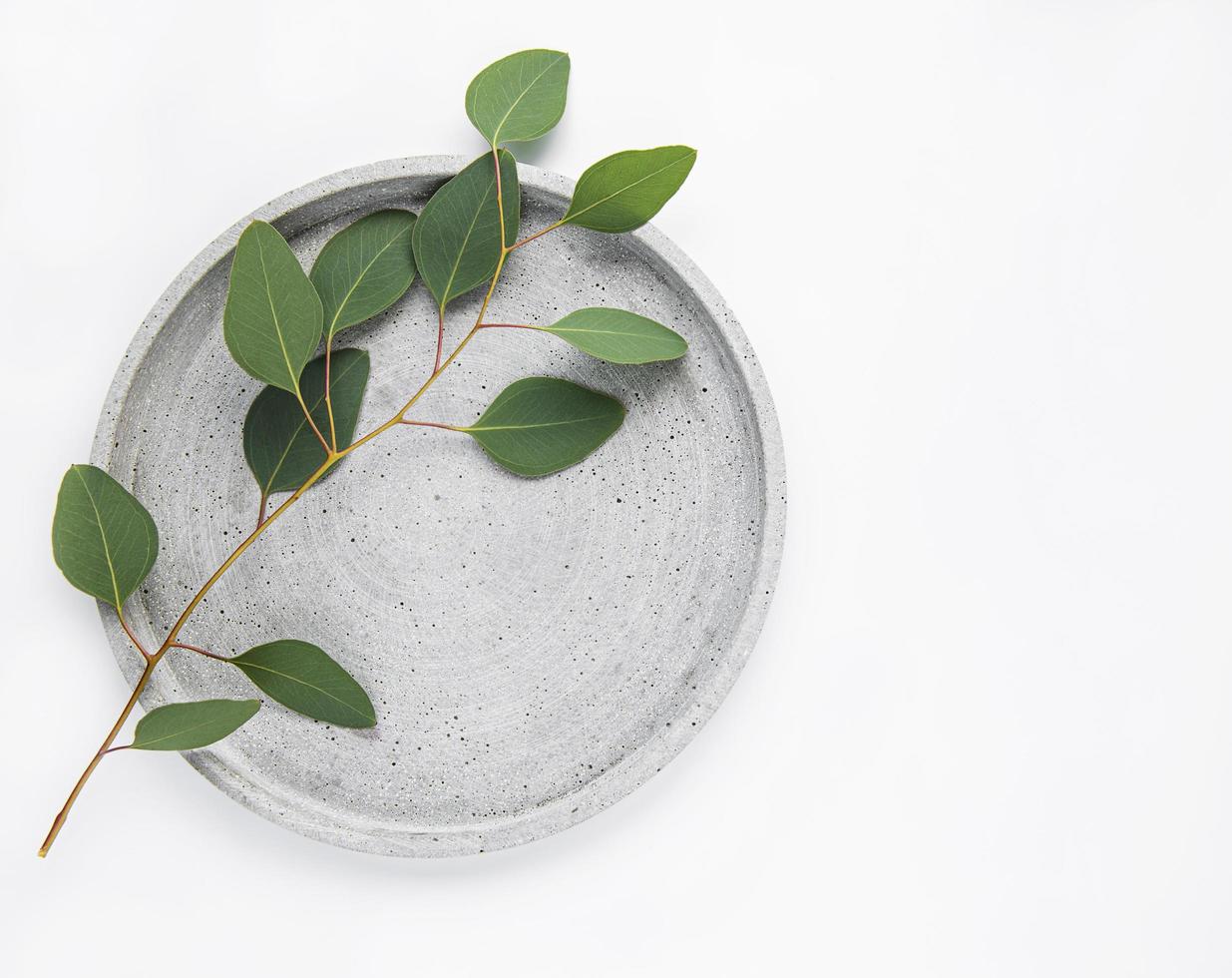 assiette à l'eucalyptus photo