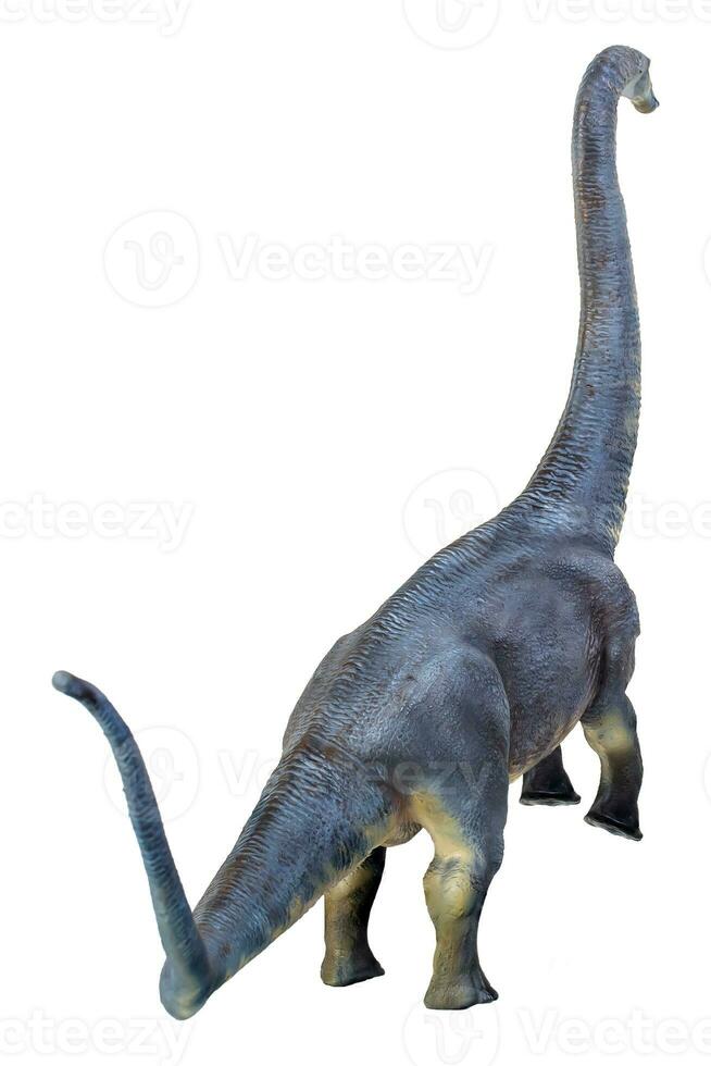 dinosaure , brontosaure isolé Contexte photo