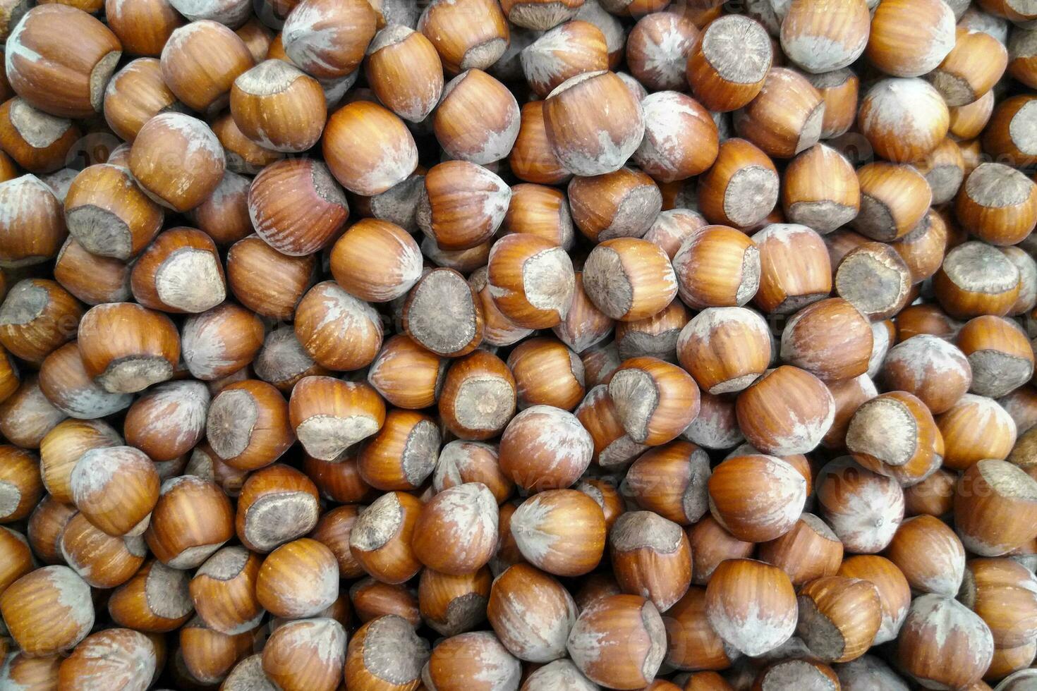 Pile de noisettes sur un étal de marché photo