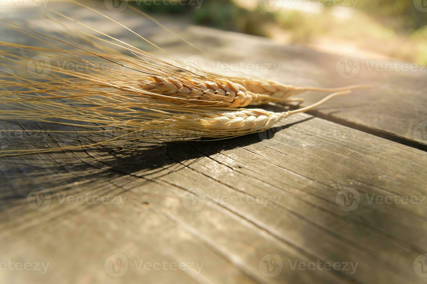 oreilles de blé sur une en bois table photo