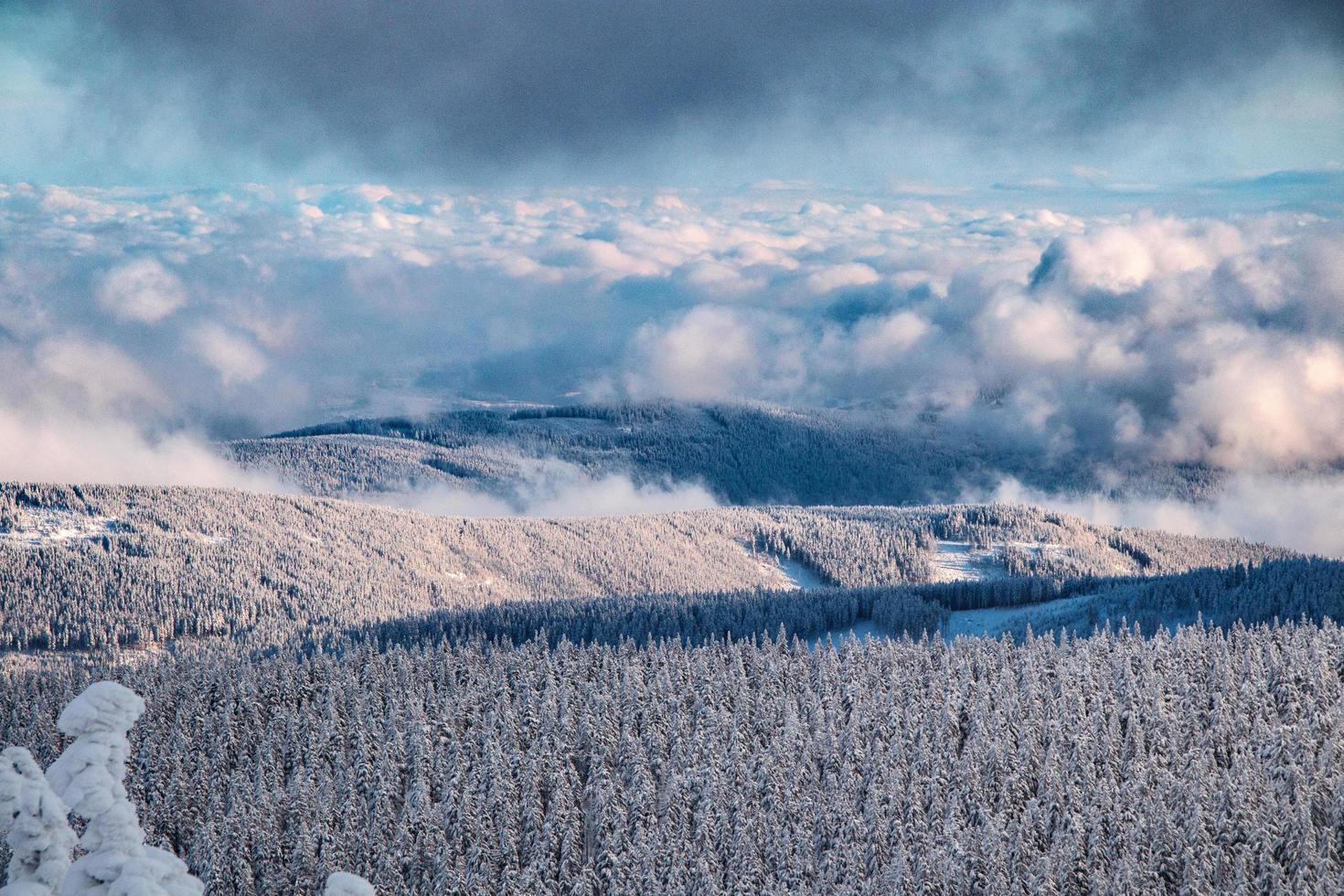 Krkonose Mountains en République tchèque photo