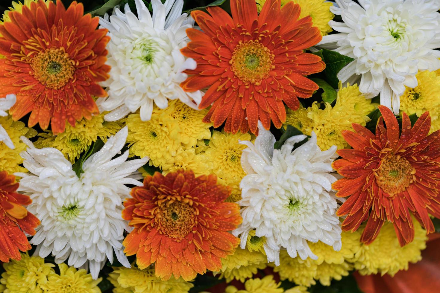 fleur de mariage mixte fond floral multicolore photo
