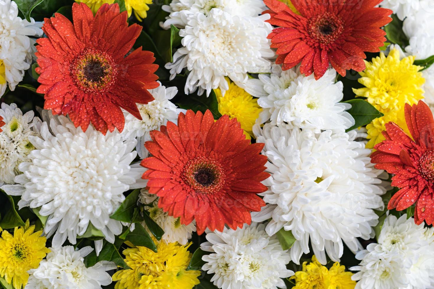 fleur de mariage mixte fond floral multicolore photo