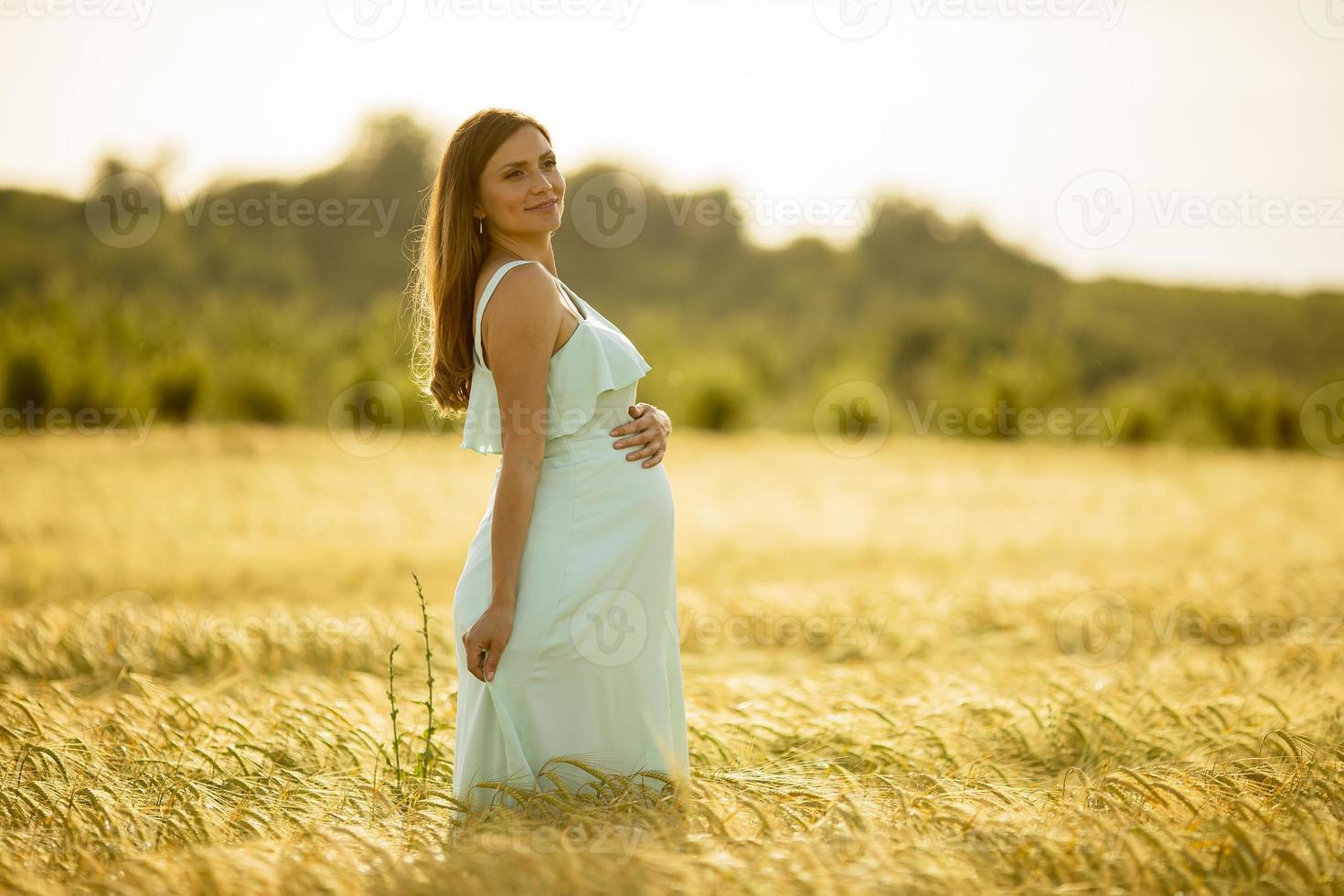 femme enceinte dans une robe dans un champ en plein soleil photo