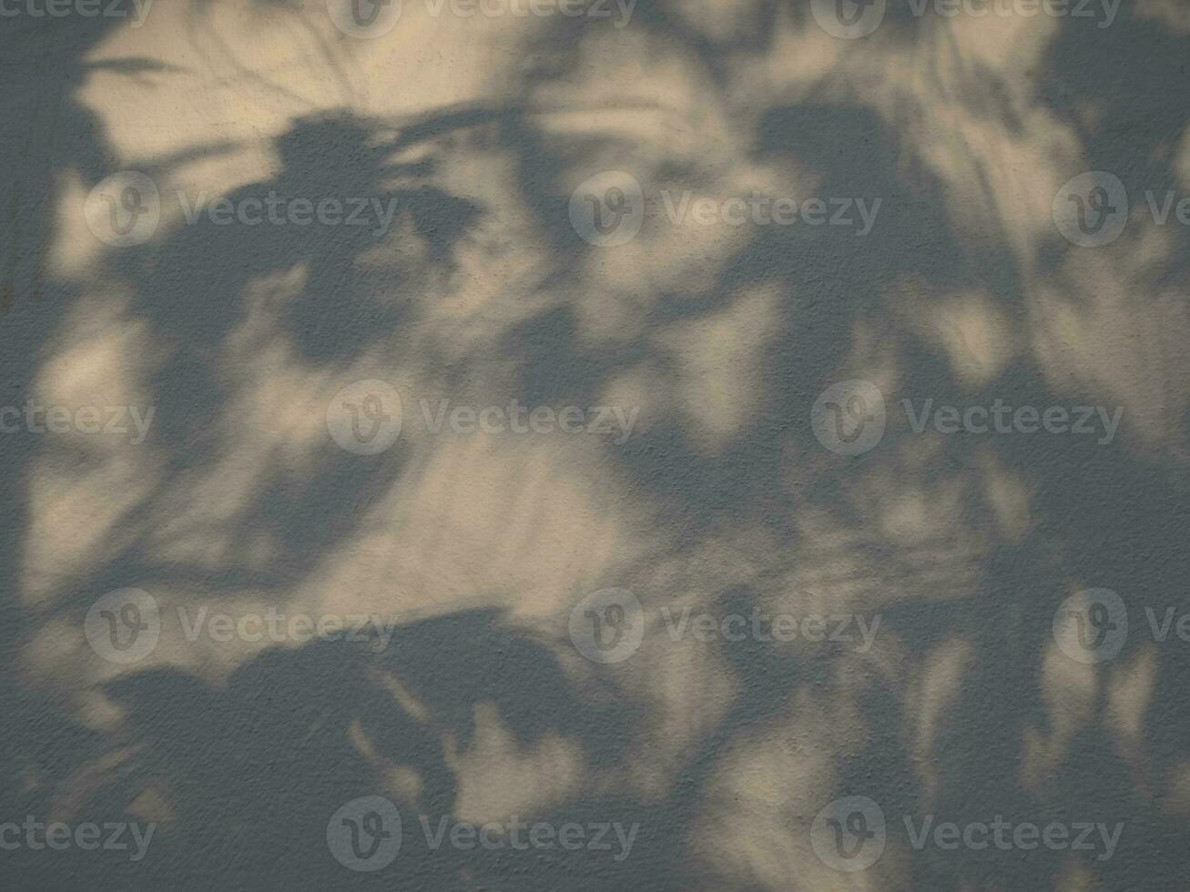 texture transparente du mur de ciment blanc une surface rugueuse et une ombre de feuille, avec un espace pour le texte, pour un arrière-plan photo