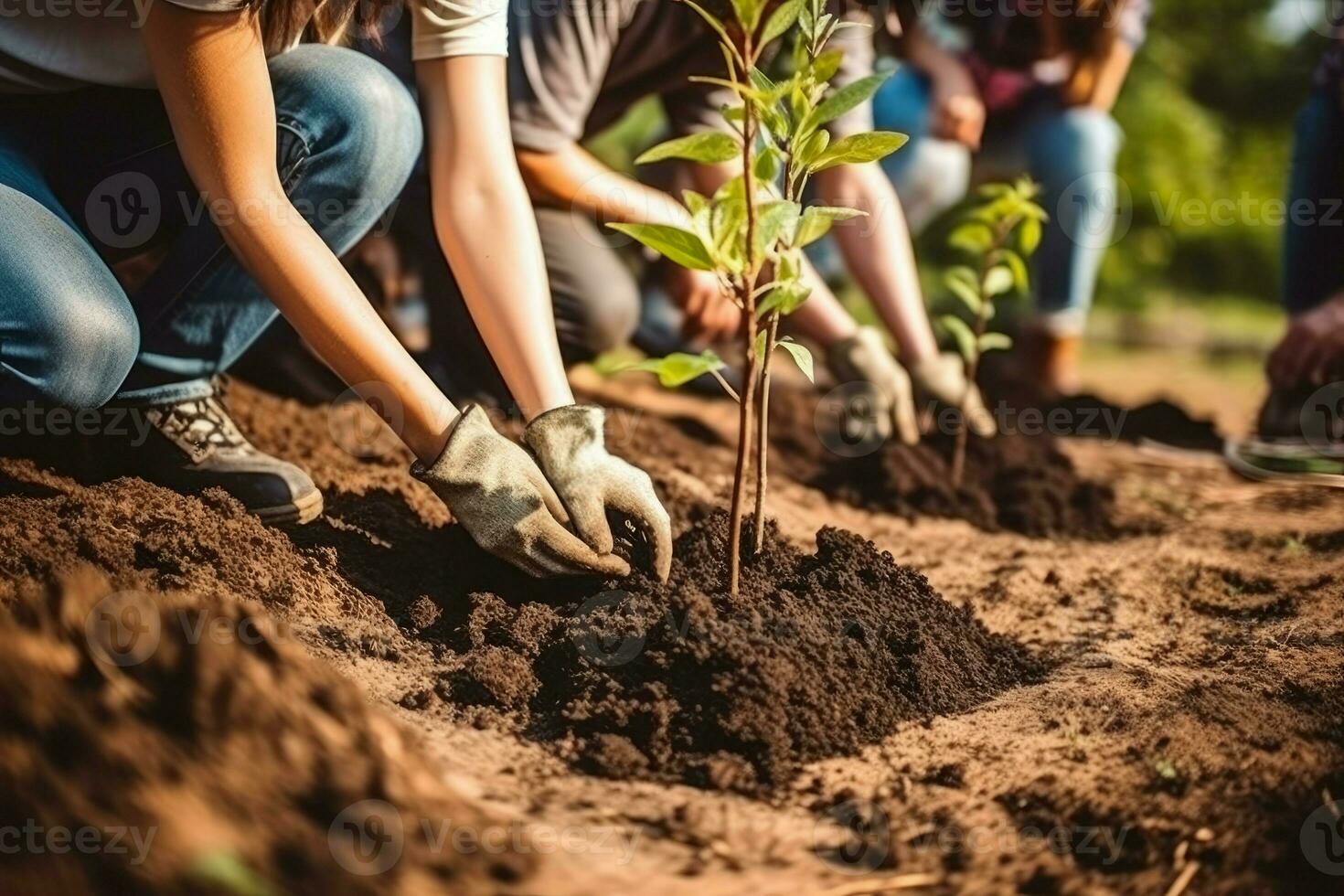 plantation gens les plantes vert. produire ai photo