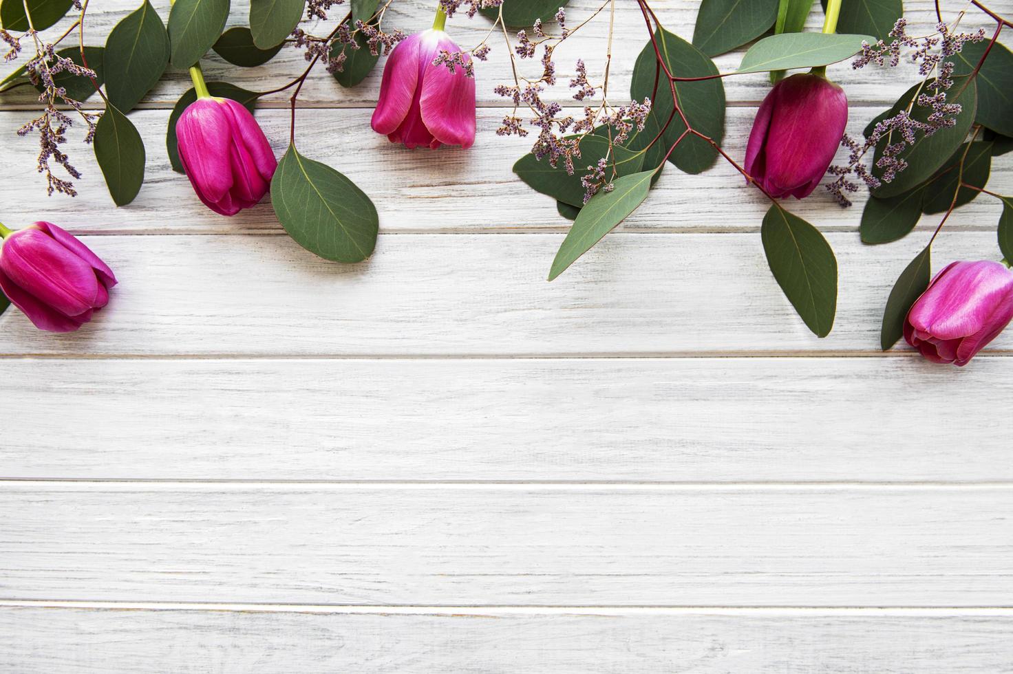 belle bordure de tulipes photo