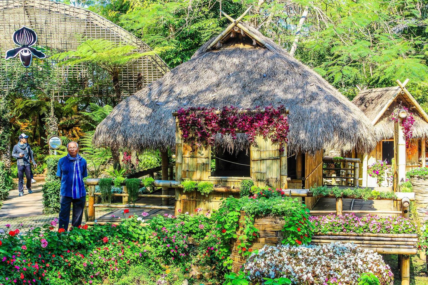 Maisons à doi tung, chiang rai, thaïlande photo