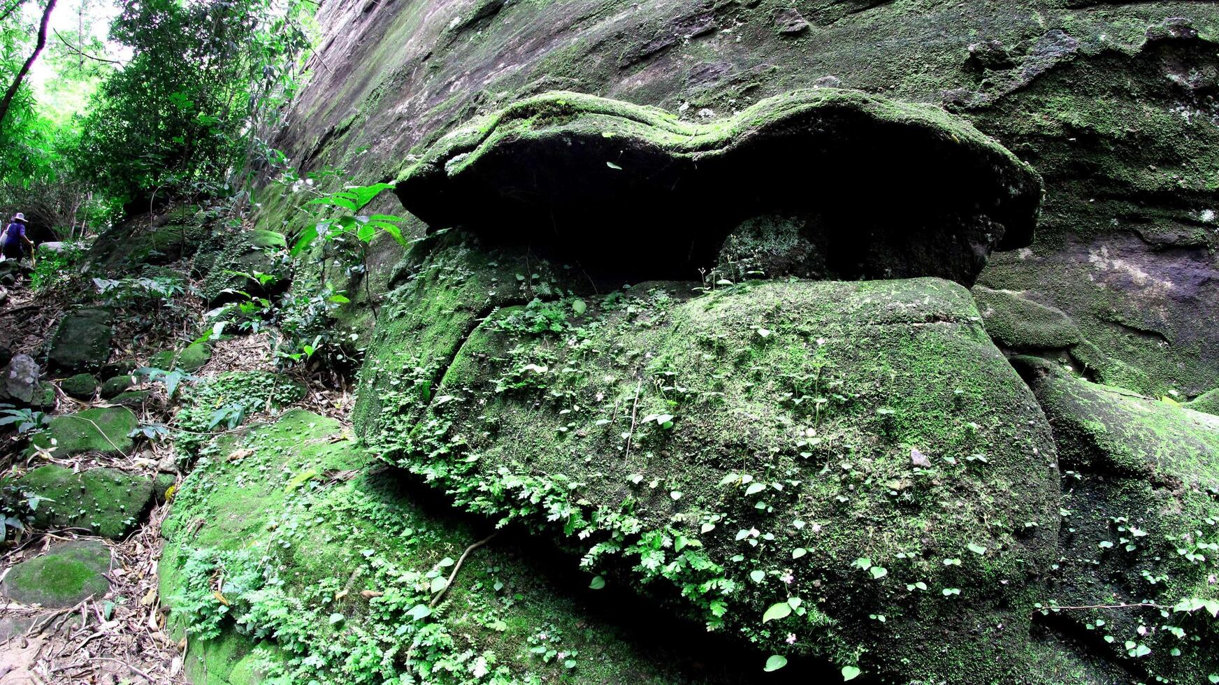 Pha Luang Waterfall Forest Park, Amphoe Si Mueang Mai, Ubon Ratchathani, Thaïlande photo