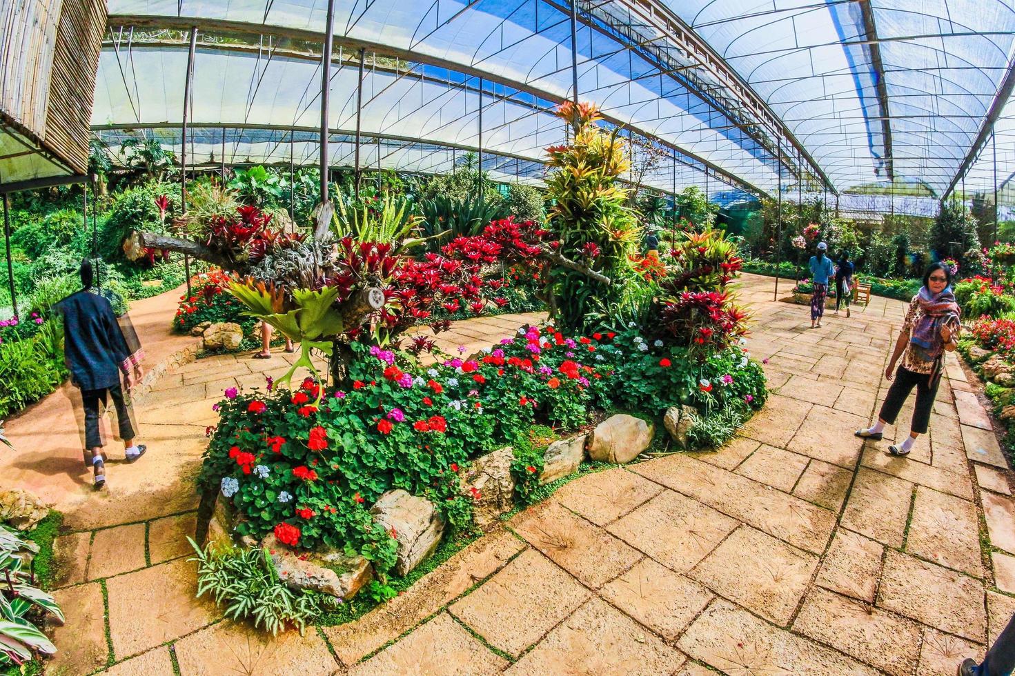 Jardin botanique de doi ang khang, chiang mai, thaïlande photo