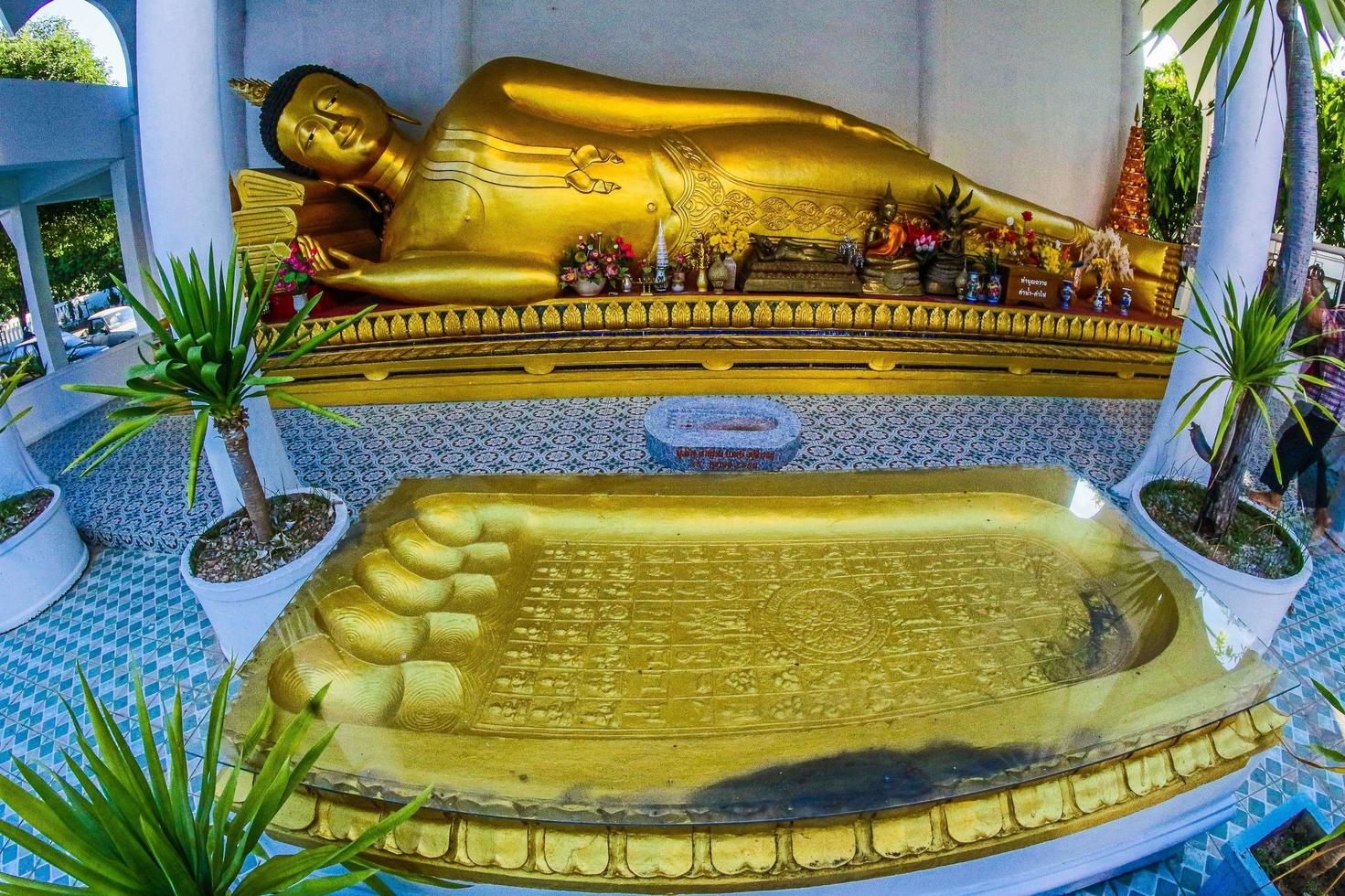 Statues de Bouddha au Wat Chetawan, Lampang, Thaïlande photo