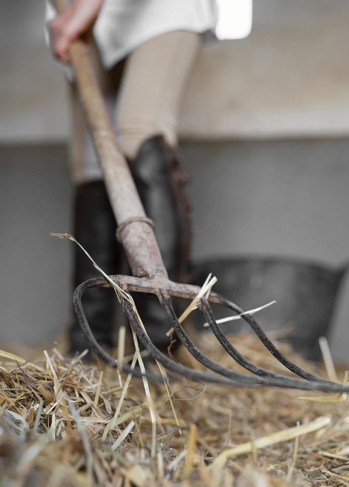 gros plan du fermier ratisser le foin photo