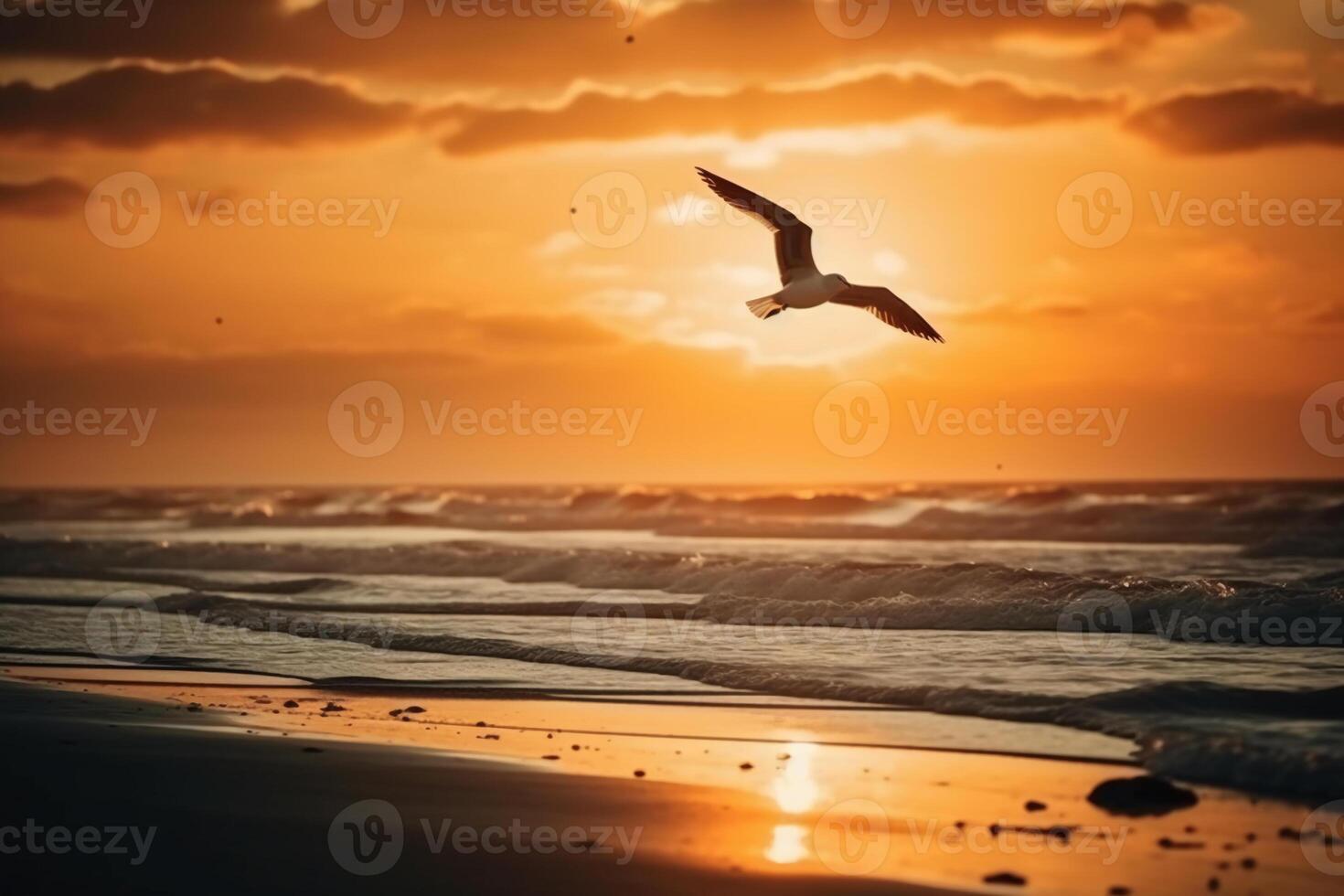 une en volant mouette silhouette dans le coucher du soleil ciel et plage. ai génératif photo