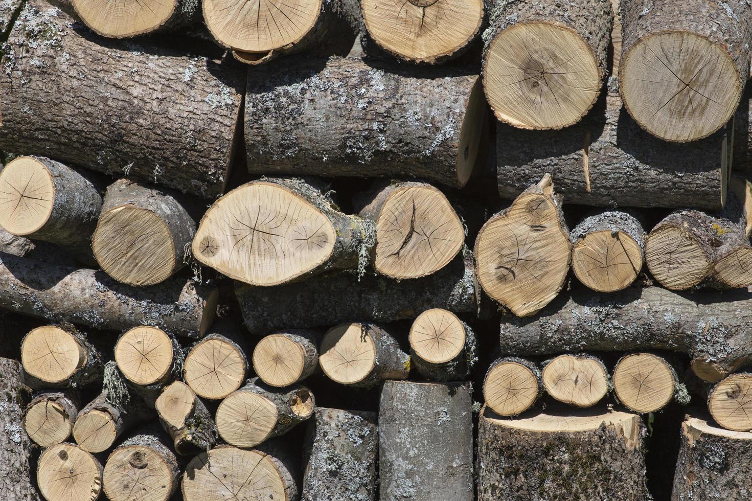 Des piles de bois de chauffage mur de bois de chauffage fond de bois de chauffage haché à sec dans une pile photo