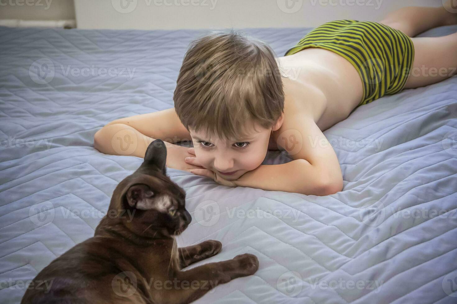 mignonne garçon sans pour autant une T-shirt. une aux cheveux blonds garçon est mensonge sur le lit dans une Naturel paramètre, et une chat est suivant à lui. le visage exprime Naturel émotions. photo
