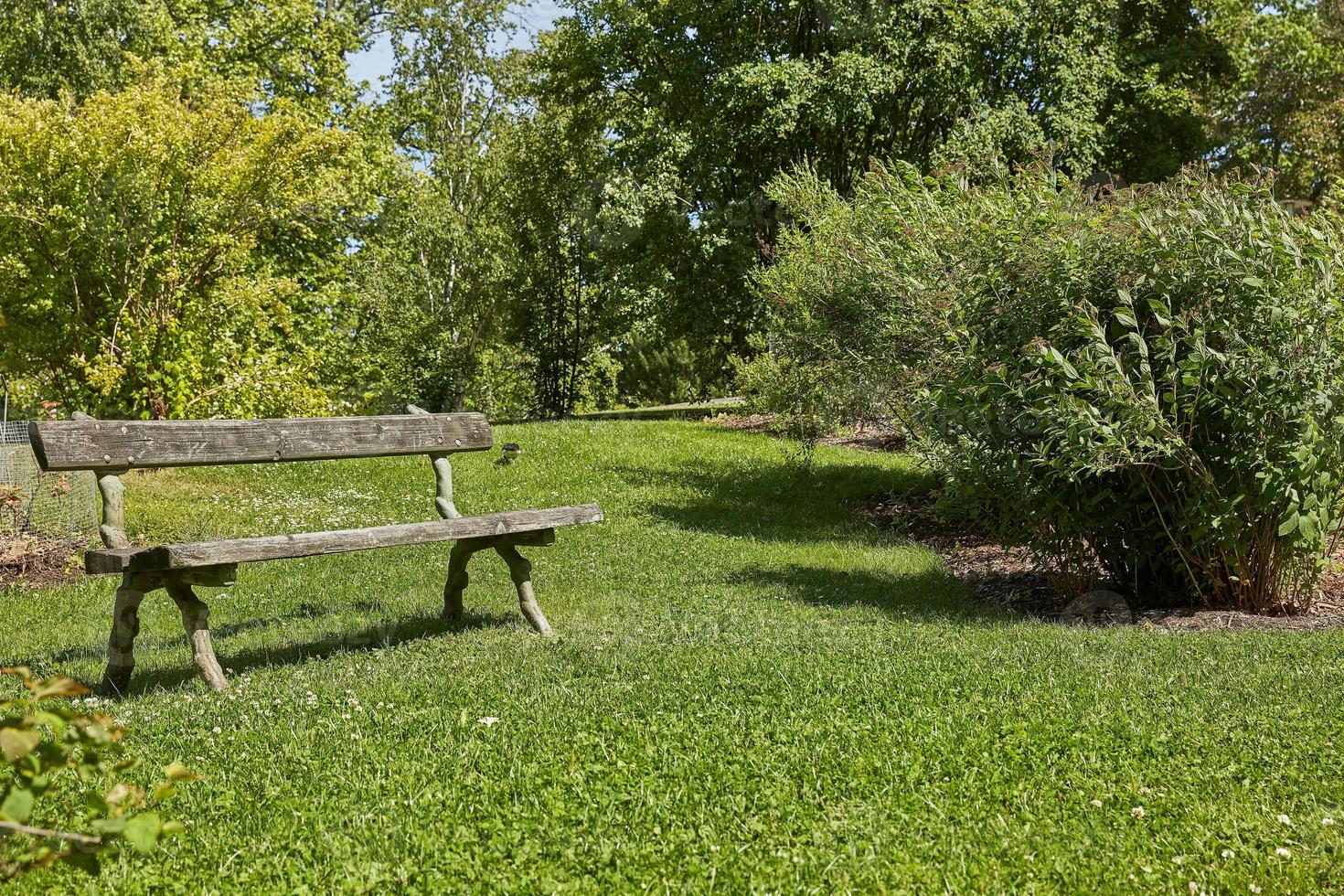 Banc de repos dans le jardin botanique de Kaisaniemi à Helsinki en Finlande photo