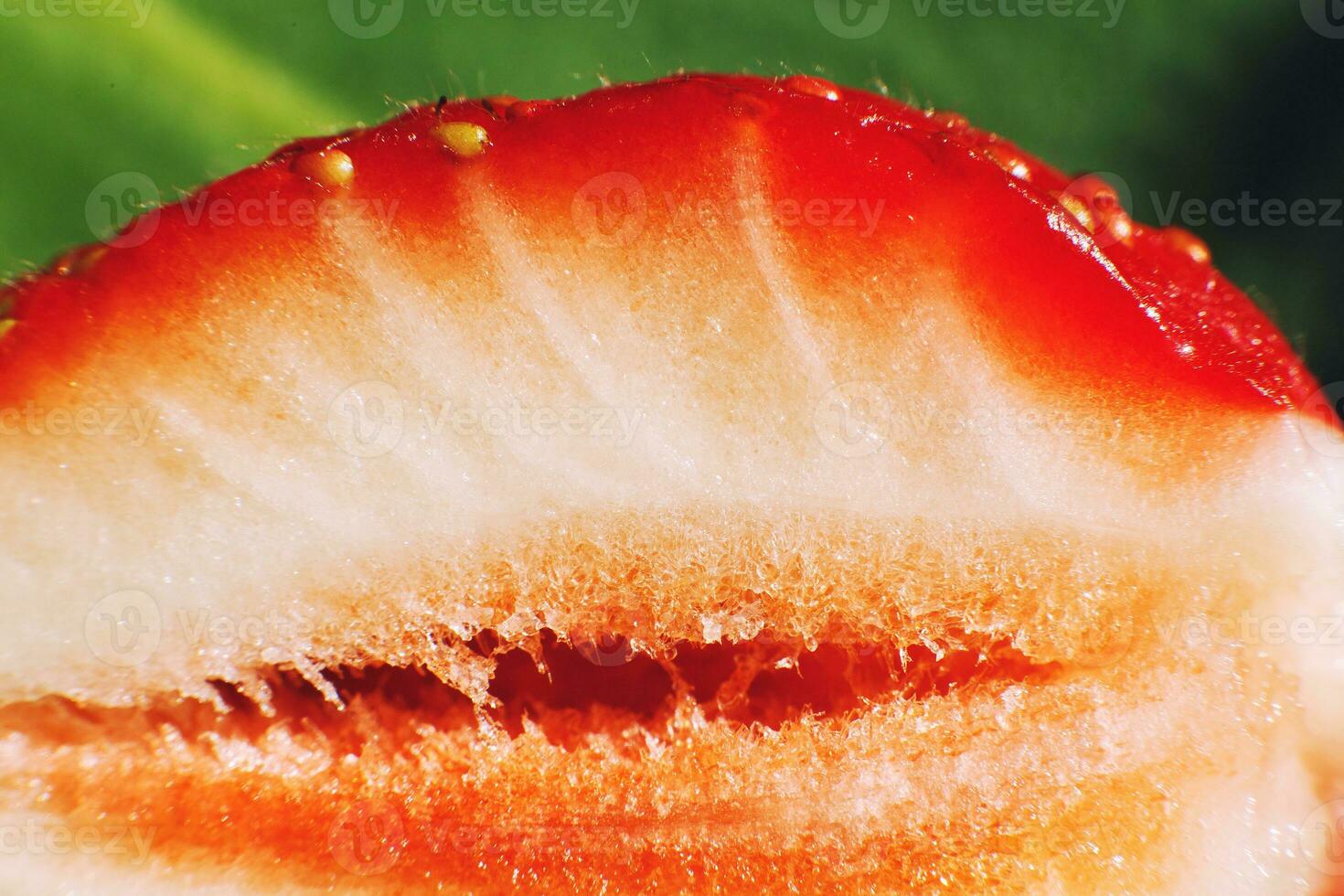 fraise Couper dans moitié. fraise cœur. moitié de une fraise sur une vert Contexte photo