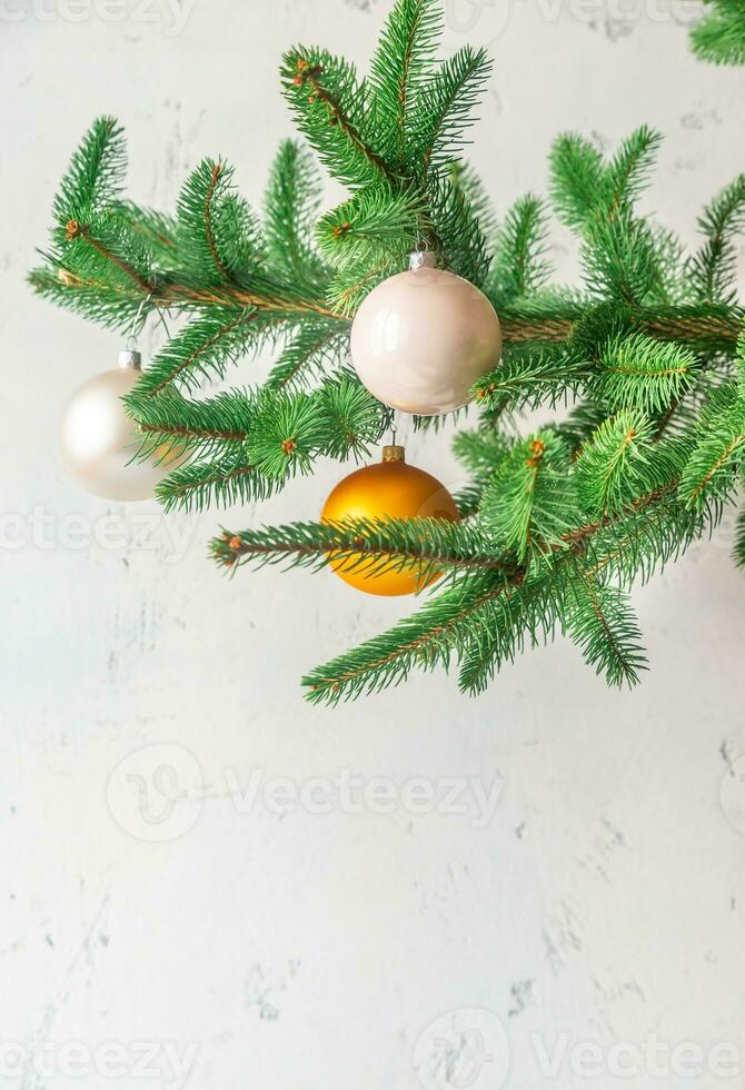 branche d'arbre de Noël photo