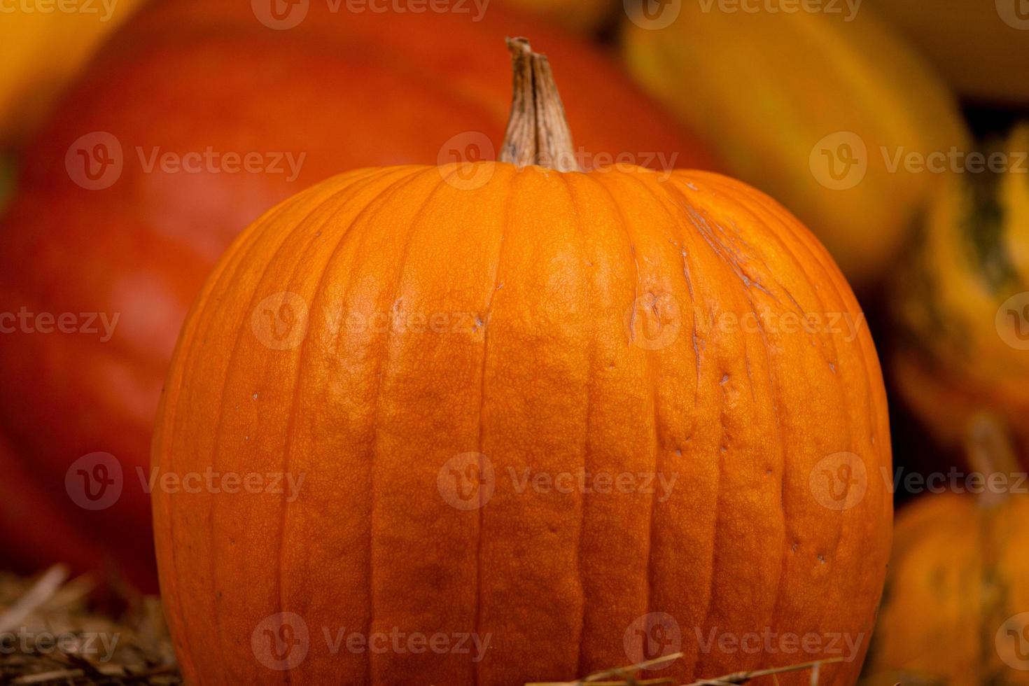 Grosse citrouille fraîche orange sur du foin photo