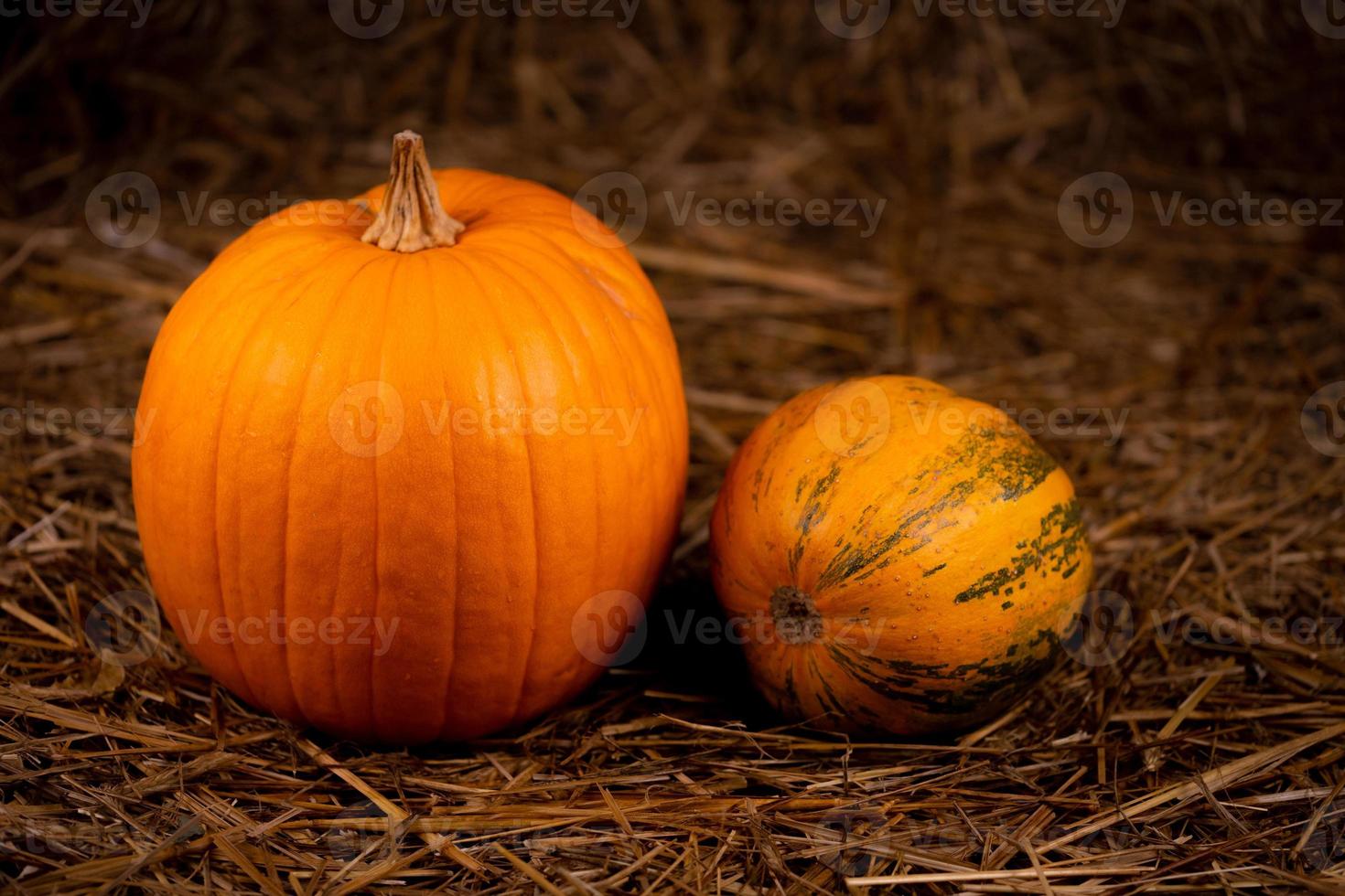 Deux citrouilles fraîches orange sur du foin photo