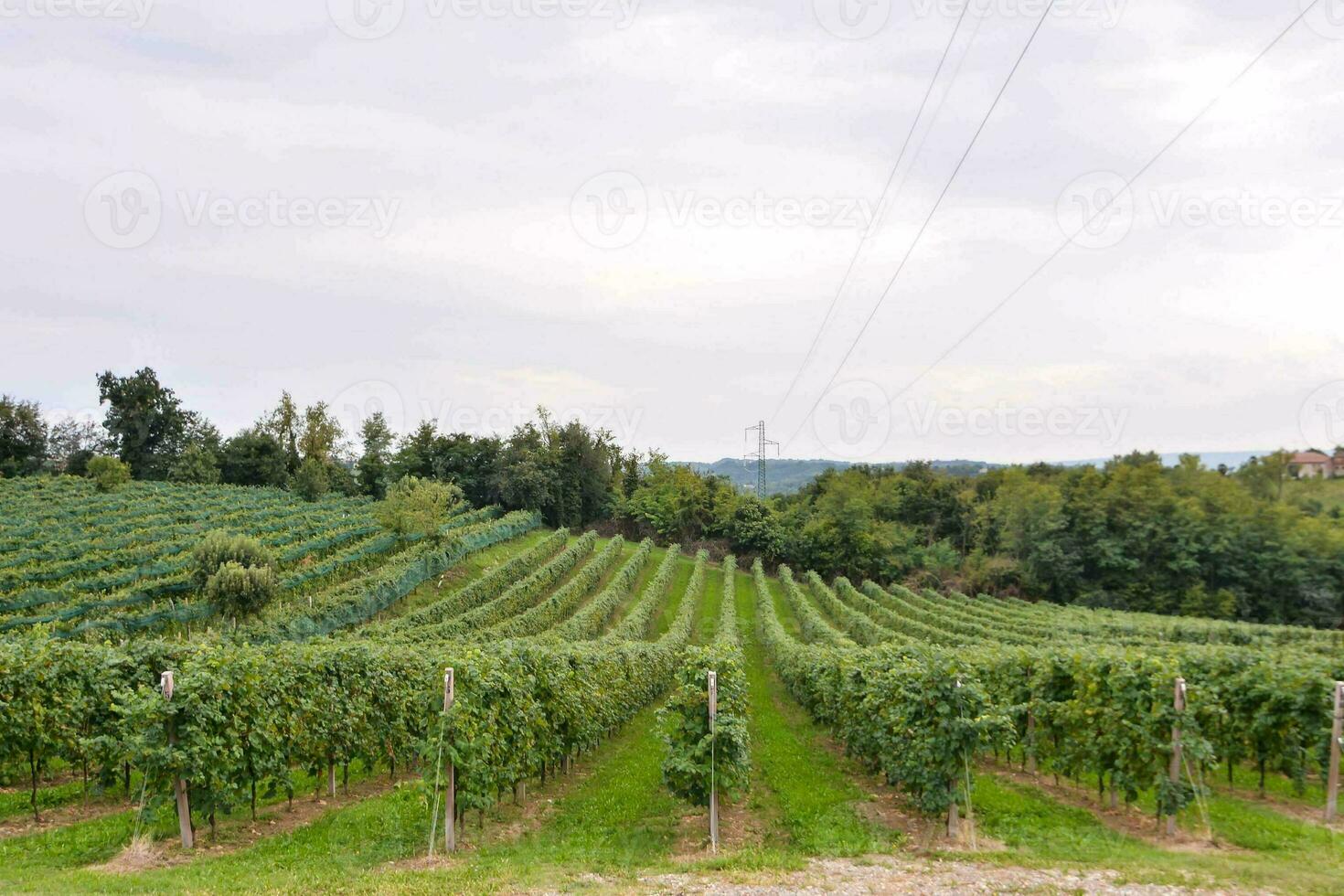 vue paysage rural photo