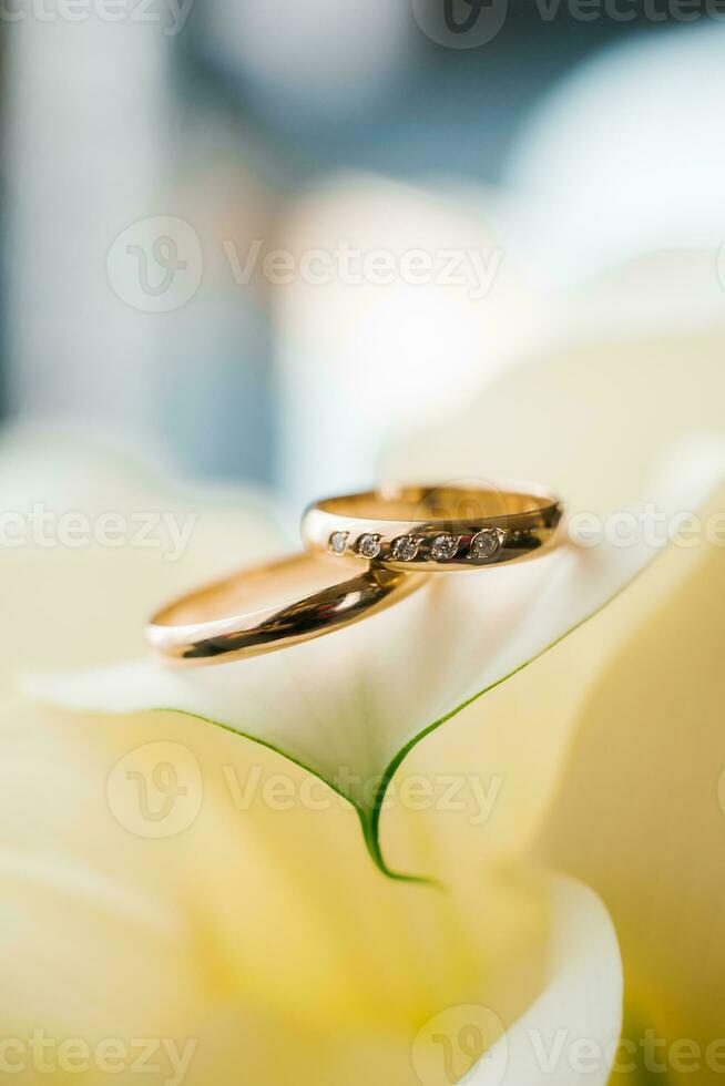 luxe riches anneaux mariage anneaux fermer sur une pétale de blanc calla photo
