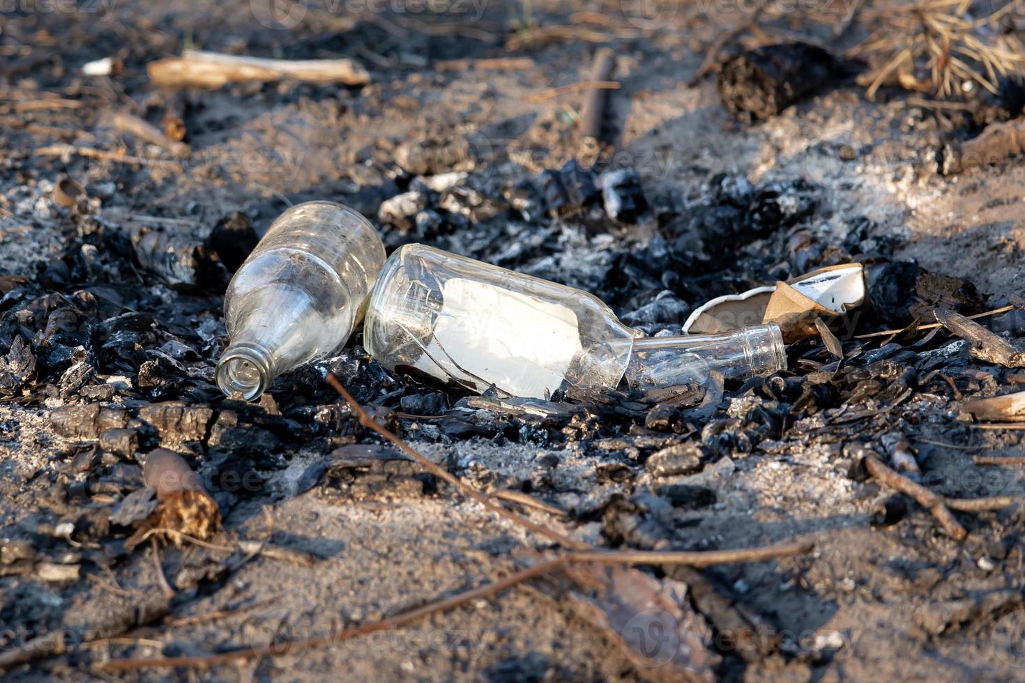 un tas de déchets dans le parc forestier près du site du feu de camp photo