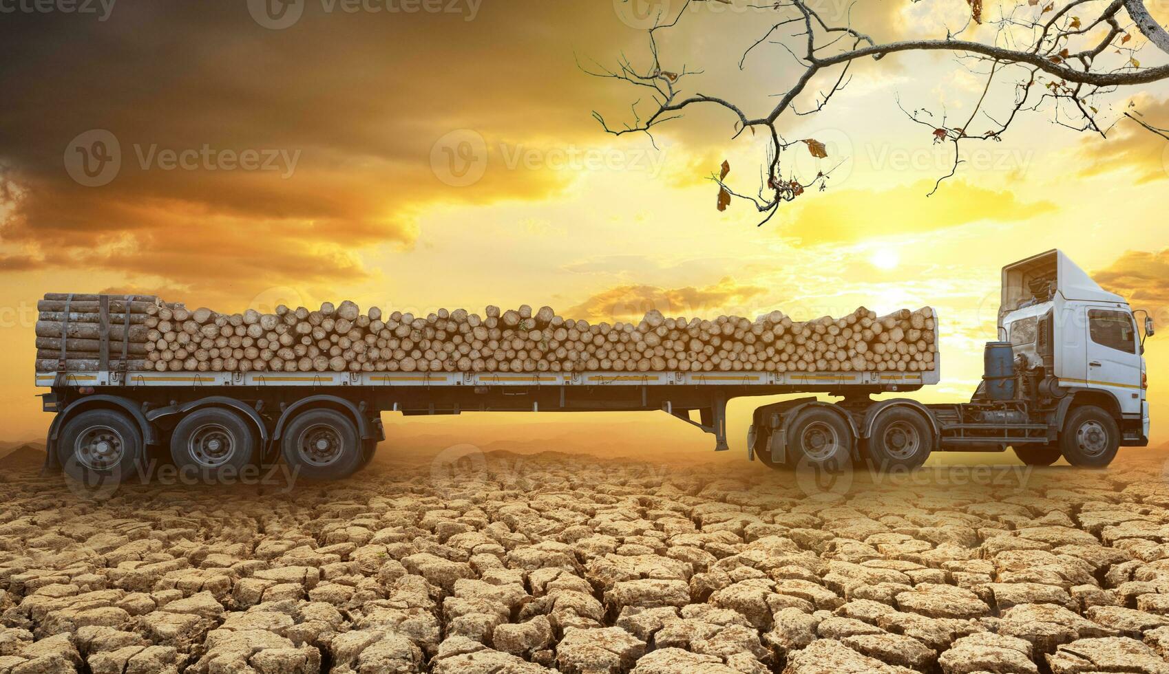 Camions de bois chargés arrivant et stationnés sur le sol fissuré dans les zones arides d'un paysage au coucher du soleil et fond de nuages photo
