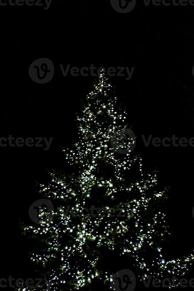 flou lumières éclairant le Noël arbre sur une noir Contexte photo