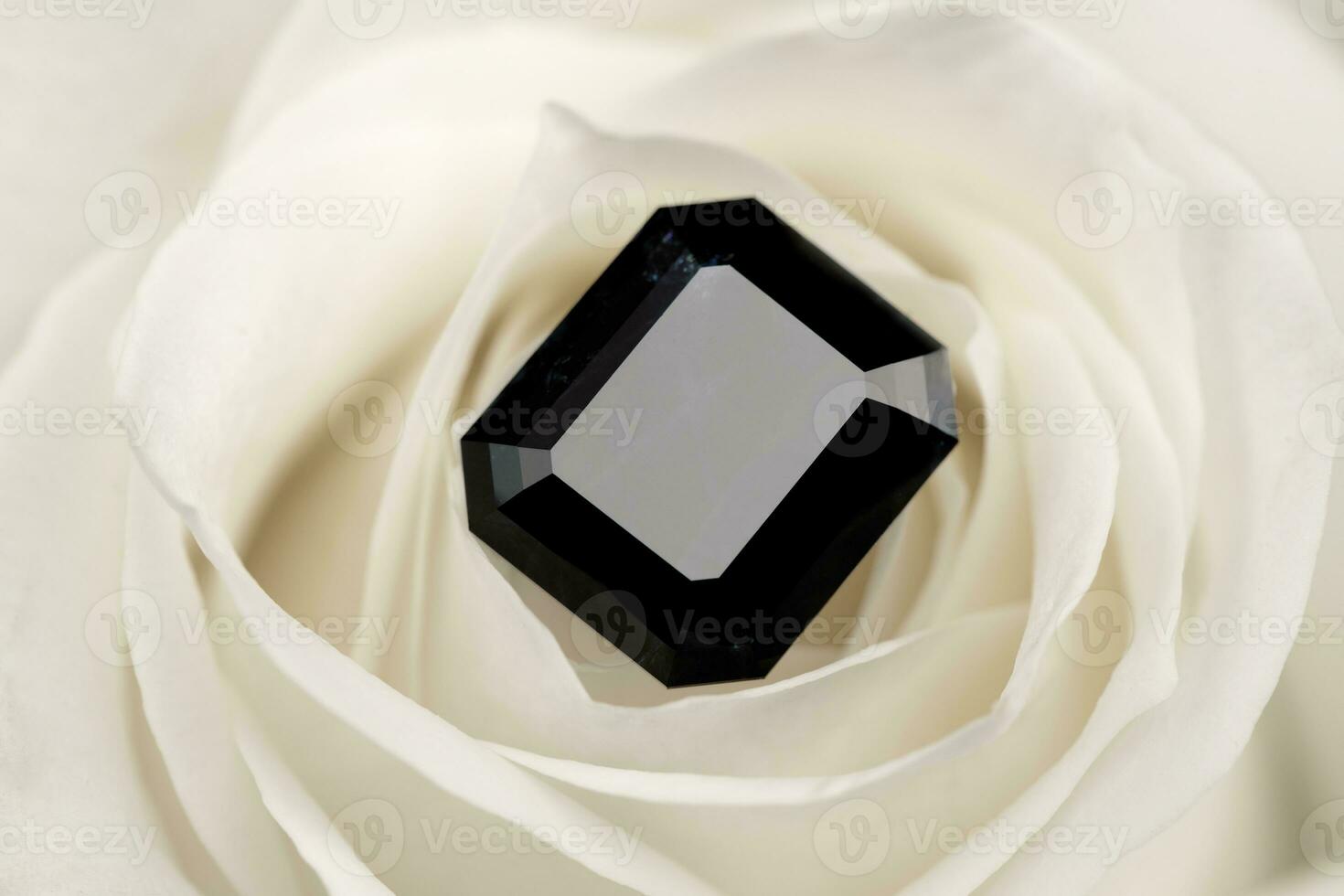 noir diamant sur blanc Rose pétales photo